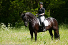 Fotoshoot Paarden